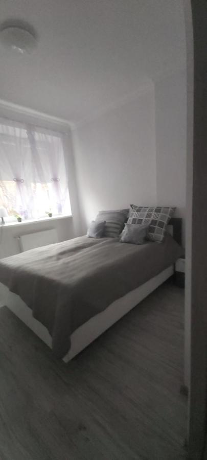Apartament U Eli Stronie Śląskie 외부 사진